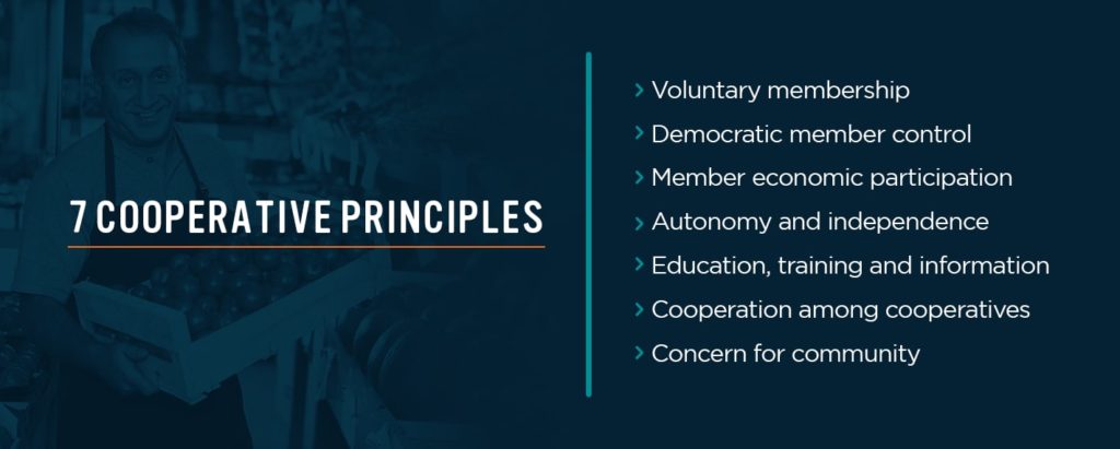 Cooperatives: The New-Old Stock of Economic Structures